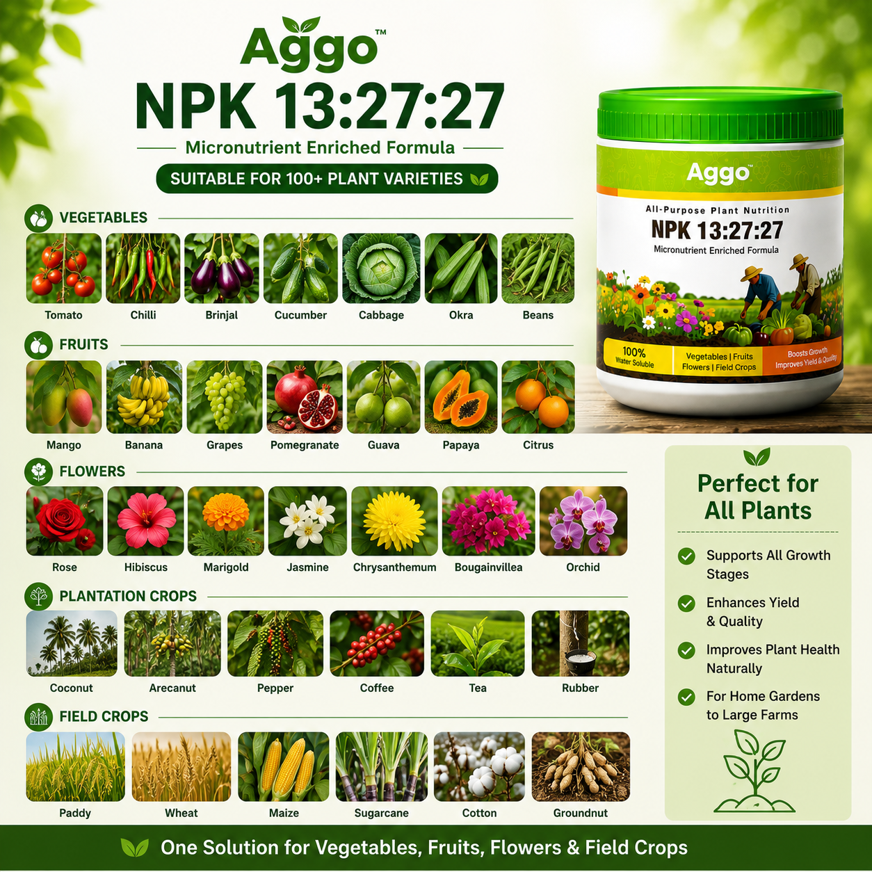 5 Aggo Plant Food NPK 13:27:27 Water Soluble Fertilizer | 500g - Image 6